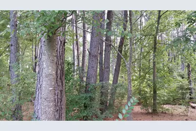 336 Grand View Drive, Athens, TX 75752 - Photo 8