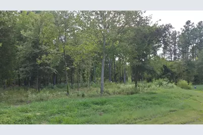 336 Grand View Drive, Athens, TX 75752 - Photo 2