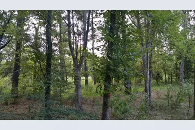 336 Grand View Drive, Athens, TX 75752 - Photo 6