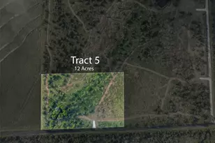 Tract 5 Tbd Lcr 390, Groesbeck, TX 76642 - Photo 1