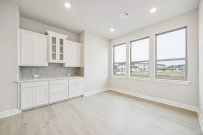 9251 Cardinal Flower Street, Frisco, TX 75035 - Photo 8