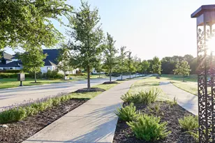 9251 Cardinal Flower St, Frisco, TX 75035 - Photo 4