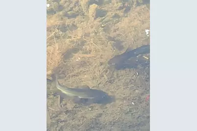 19707 Fm 485, Burlington, TX 76519 - Photo 32