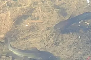 19707 FM 485, Burlington, TX 76519 - Photo 32