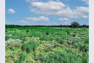 12.69 Acres S Farm Road 269 S, Saltillo, TX 75478 - Photo 10