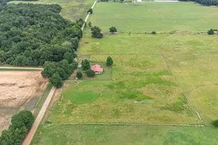 1460 Co Rd 2155, Telephone, TX 75488 - Photo 36