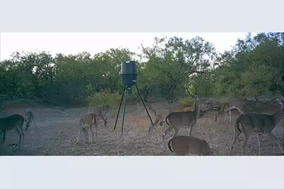 4599 Burwick Road, Jacksboro, TX 76458 - Photo 30