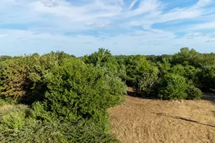 6045 County Rd 319, Alvarado, TX 76009 - Photo 10