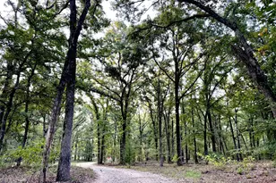 796 Vzcr 1922, Fruitvale, TX 75127 - Photo 2