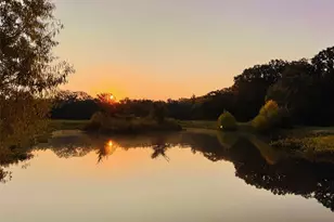 796 Vzcr 1922, Fruitvale, TX 75127 - Photo 36