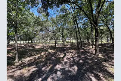 Tbd 1 County Road 1168 #Tract 1, Brashear, TX 75420 - Photo 4