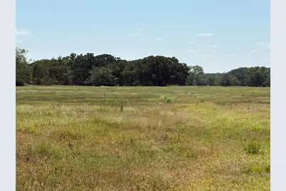 Tbd 1 County Road 1168 #Tract 1, Brashear, TX 75420 - Photo 12