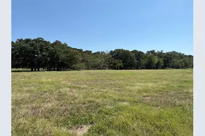 Tbd 1 County Road 1168 #Tract 1, Brashear, TX 75420 - Photo 8