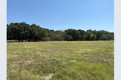 Tbd 1 County Road 1168 #Tract 1, Brashear, TX 75420 - Photo 8