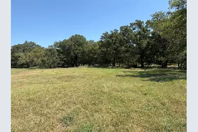 Tbd 1 County Road 1168 #Tract 1, Brashear, TX 75420 - Photo 2