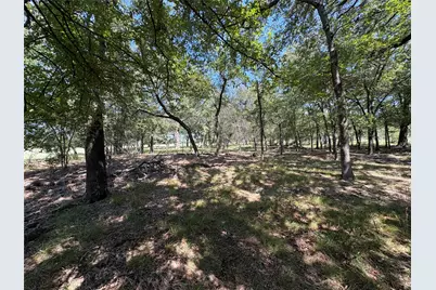 Tbd 1 County Road 1168 #Tract 1, Brashear, TX 75420 - Photo 6