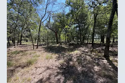Tbd 1 County Road 1168 #Tract 1, Brashear, TX 75420 - Photo 4