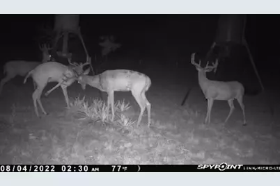 Lot 29 Comanche Hills Drive, Comanche, TX 76442 - Photo 20