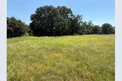 Tbd 3 County Road 1168 #Tract 3, Brashear, TX 75420 - Photo 2