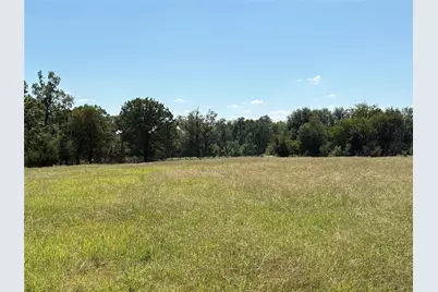 Tbd 3 County Road 1168 #Tract 3, Brashear, TX 75420 - Photo 4