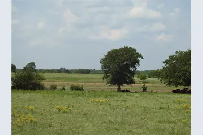 Tbd County Road 4040, Ector, TX 75439 - Photo 8