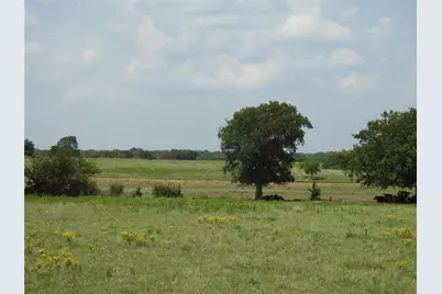 Tbd County Road 4040, Ector, TX 75439 - Photo 8