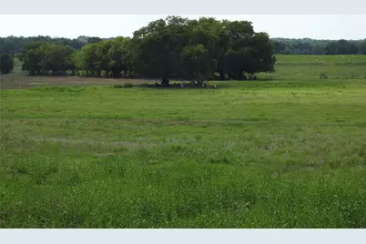 Tbd County Road 4040, Ector, TX 75439 - Photo 16
