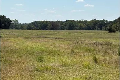 Tbd County Road 1168, Brashear, TX 75420 - Photo 32