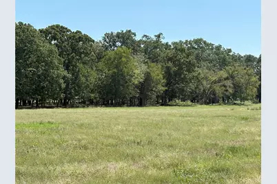 Tbd County Road 1168, Brashear, TX 75420 - Photo 30