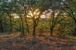 373 Nocona Dr, Nocona, TX 76255 - Photo 20