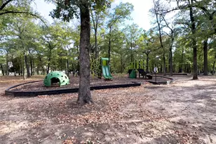 221 St Andrews Dr, Mabank, TX 75156 - Photo 38