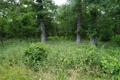 Lot 37 Nicklaus Drive, Sulphur Springs, TX 75482 - Photo 4