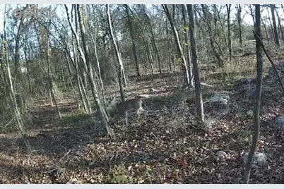 Lot 37 Nicklaus Drive, Sulphur Springs, TX 75482 - Photo 8