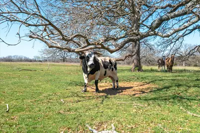 Tbd Vz County Road 1818, Grand Saline, TX 75140 - Photo 20