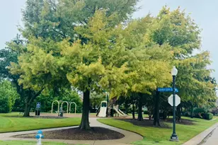 7308 Summer Glen Dr, McKinney, TX 75072 - Photo 34