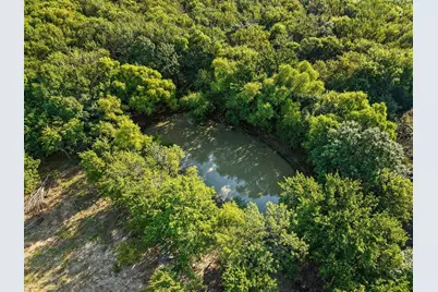 8194 Private Road 5406, Blue Ridge, TX 75424 - Photo 6