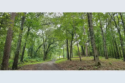 6338 E Fm 852, Winnsboro, TX 75494 - Photo 36