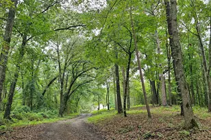 6338 E Fm 852, Winnsboro, TX 75494 - Photo 36