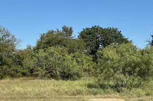 31033 Doe Run Ct, Whitney, TX 76692 - Photo 1