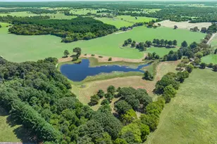 893 Vz County Road 4203, Canton, TX 75103 - Photo 4