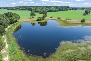 893 Vz County Road 4203, Canton, TX 75103 - Photo 6