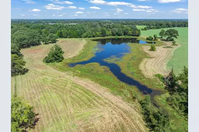 893 Vz County Road 4203, Canton, TX 75103 - Photo 8