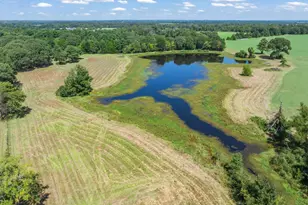 893 Vz County Road 4203, Canton, TX 75103 - Photo 8