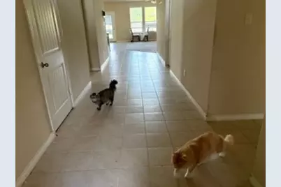 361 Amber Lane, Nevada, TX 75173 - Photo 2