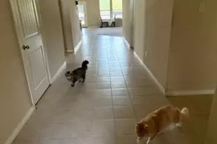 361 Amber Ln, Nevada, TX 75173 - Photo 2