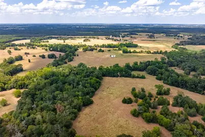 87 Acres Fm 269, Pickton, TX 75471 - Photo 14