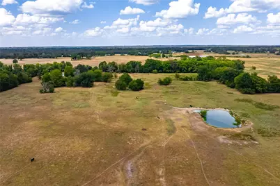 87 Acres Fm 269, Pickton, TX 75471 - Photo 20