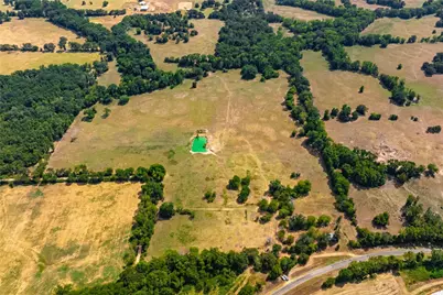 87 Acres Fm 269, Pickton, TX 75471 - Photo 6