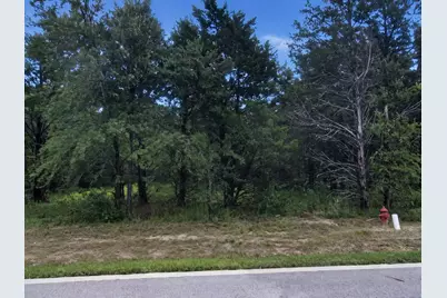 908 Eagle Oaks Drive, Gordonville, TX 76245 - Photo 2