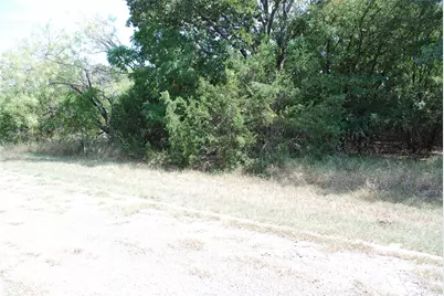 31038 Doe Run Court, Whitney, TX 76692 - Photo 4